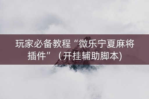 玩家必备教程“微乐宁夏麻将插件”（开挂辅助脚本)