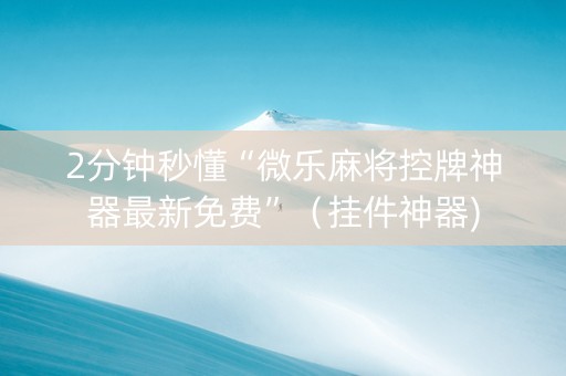 2分钟秒懂“微乐麻将控牌神器最新免费”（挂件神器)