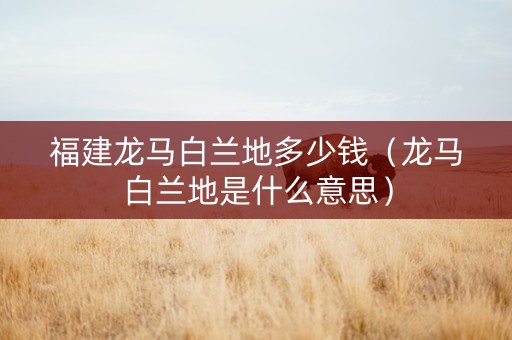 福建龙马白兰地多少钱（龙马白兰地是什么意思）