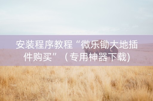 安装程序教程“微乐锄大地插件购买”（专用神器下载)