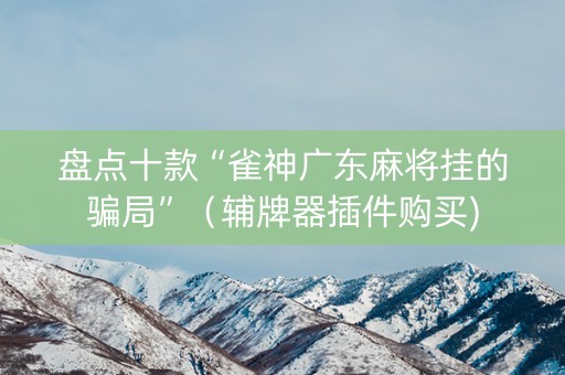 盘点十款“雀神广东麻将挂的骗局”（辅牌器插件购买)