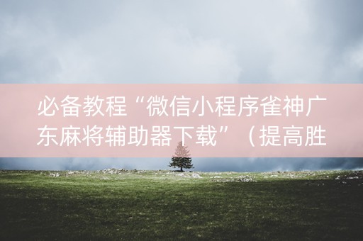 必备教程“微信小程序雀神广东麻将辅助器下载”（提高胜率技巧)