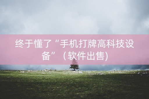 终于懂了“手机打牌高科技设备”（软件出售)