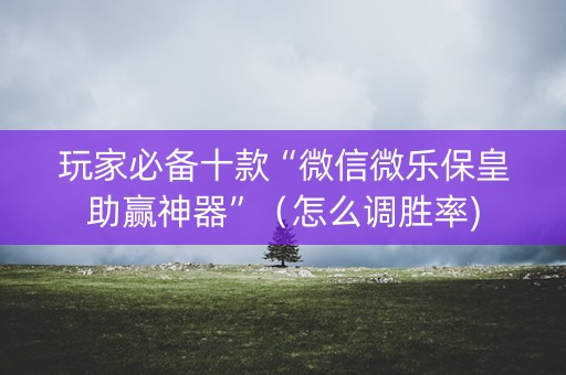 玩家必备十款“微信微乐保皇助赢神器”（怎么调胜率)