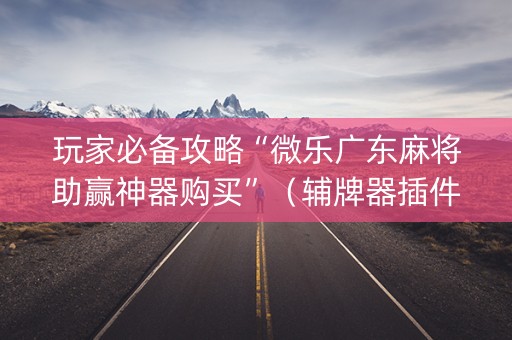 玩家必备攻略“微乐广东麻将助赢神器购买”（辅牌器插件购买)