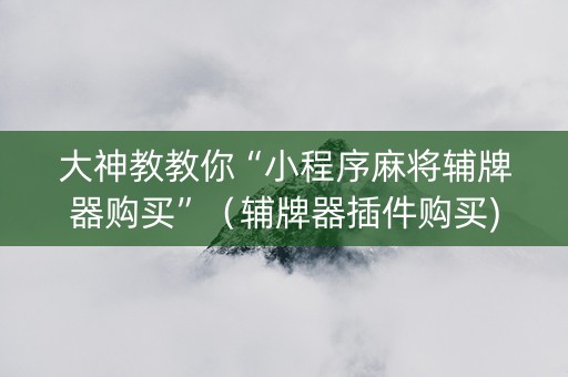 大神教教你“小程序麻将辅牌器购买”（辅牌器插件购买)
