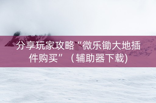 分享玩家攻略“微乐锄大地插件购买”（辅助器下载)