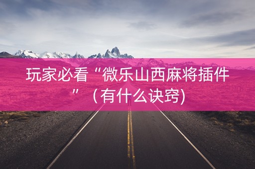 玩家必看“微乐山西麻将插件”（有什么诀窍)