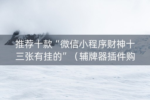 推荐十款“微信小程序财神十三张有挂的”（辅牌器插件购买)