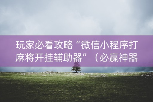 玩家必看攻略“微信小程序打麻将开挂辅助器”（必赢神器辅助器)
