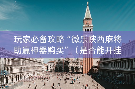 玩家必备攻略“微乐陕西麻将助赢神器购买”（是否能开挂)