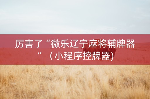 厉害了“微乐辽宁麻将辅牌器”（小程序控牌器)