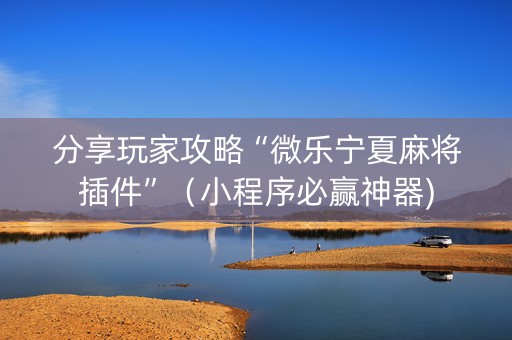 分享玩家攻略“微乐宁夏麻将插件”（小程序必赢神器)