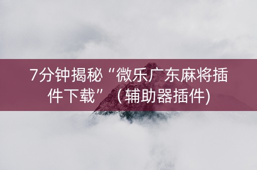 7分钟揭秘“微乐广东麻将插件下载”（辅助器插件)