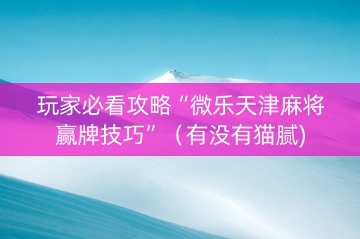 玩家必看攻略“微乐天津麻将赢牌技巧”（有没有猫腻)
