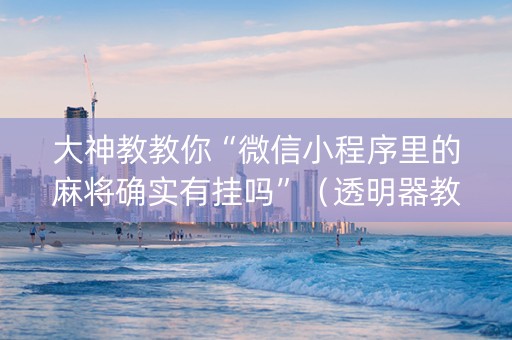 大神教教你“微信小程序里的麻将确实有挂吗”（透明器教程)