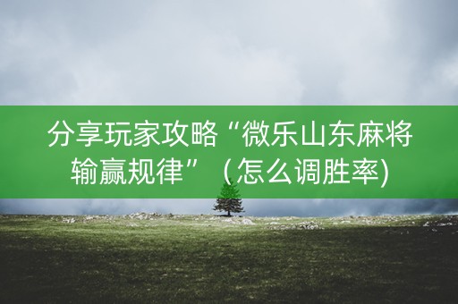 分享玩家攻略“微乐山东麻将输赢规律”（怎么调胜率)