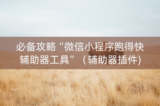 必备攻略“微信小程序跑得快辅助器工具”（辅助器插件)