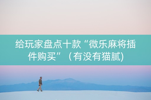 给玩家盘点十款“微乐麻将插件购买”（有没有猫腻)