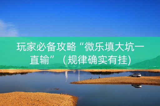 玩家必备攻略“微乐填大坑一直输”（规律确实有挂)