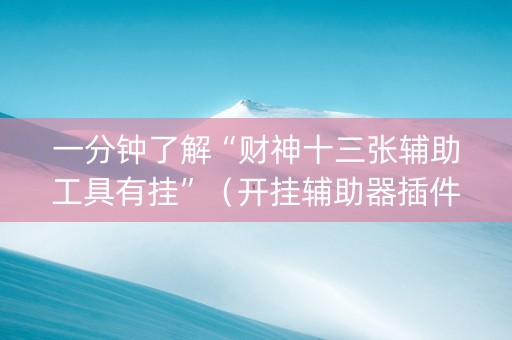 一分钟了解“财神十三张辅助工具有挂”（开挂辅助器插件)