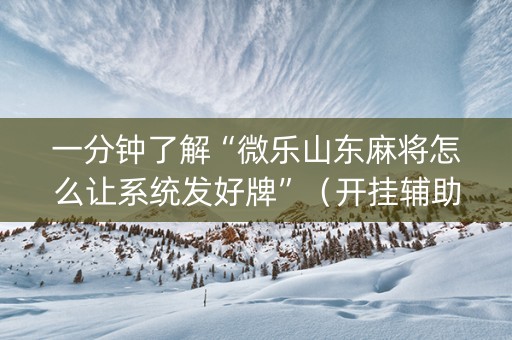 一分钟了解“微乐山东麻将怎么让系统发好牌”（开挂辅助器脚本)