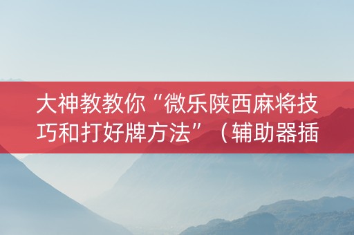 大神教教你“微乐陕西麻将技巧和打好牌方法”（辅助器插件)