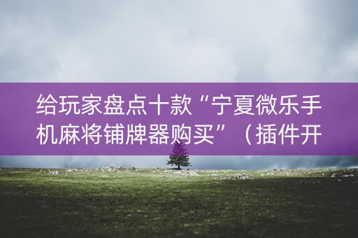 给玩家盘点十款“宁夏微乐手机麻将铺牌器购买”（插件开挂免费AI)