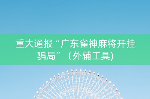 重大通报“广东雀神麻将开挂骗局”（外辅工具)