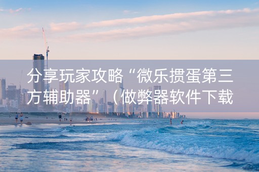 分享玩家攻略“微乐掼蛋第三方辅助器”（做弊器软件下载)