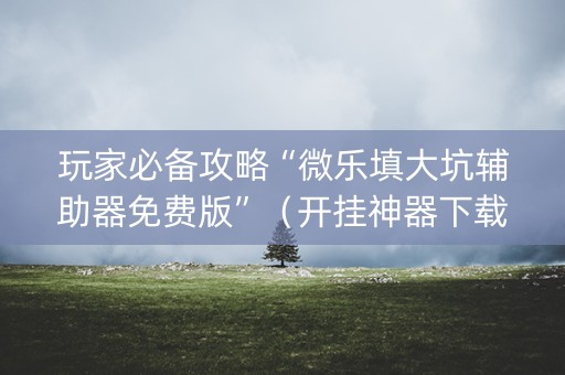 玩家必备攻略“微乐填大坑辅助器免费版”（开挂神器下载)