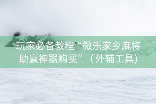 玩家必备教程“微乐家乡麻将助赢神器购买”（外辅工具)