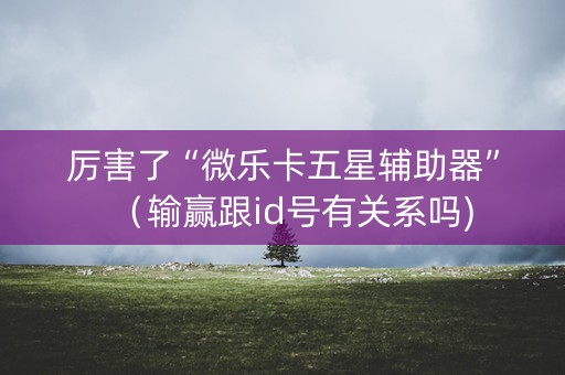 厉害了“微乐卡五星辅助器”（输赢跟id号有关系吗)