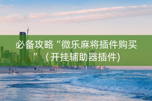 必备攻略“微乐麻将插件购买”（开挂辅助器插件)