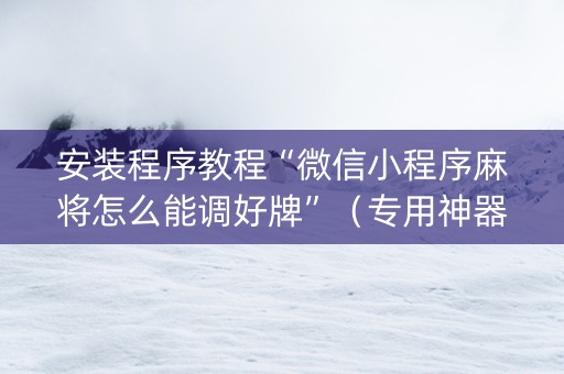 安装程序教程“微信小程序麻将怎么能调好牌”（专用神器下载)