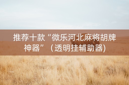 推荐十款“微乐河北麻将胡牌神器”（透明挂辅助器)