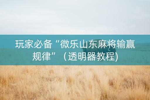玩家必备“微乐山东麻将输赢规律”（透明器教程)