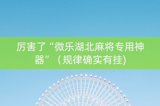 厉害了“微乐湖北麻将专用神器”（规律确实有挂)
