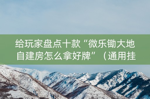 给玩家盘点十款“微乐锄大地自建房怎么拿好牌”（通用挂软件多少钱)