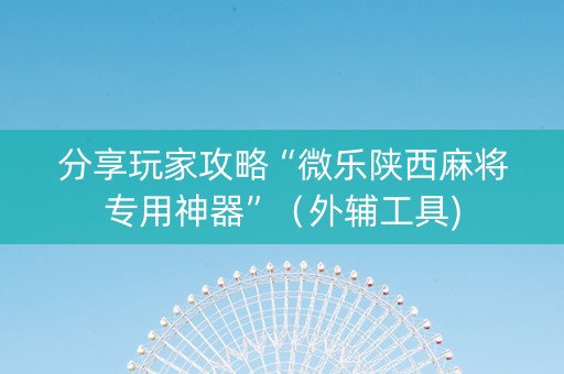分享玩家攻略“微乐陕西麻将专用神器”（外辅工具)