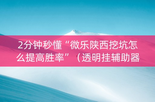 2分钟秒懂“微乐陕西挖坑怎么提高胜率”（透明挂辅助器)