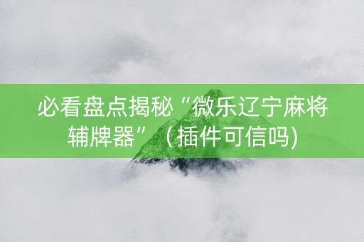 必看盘点揭秘“微乐辽宁麻将辅牌器”（插件可信吗)