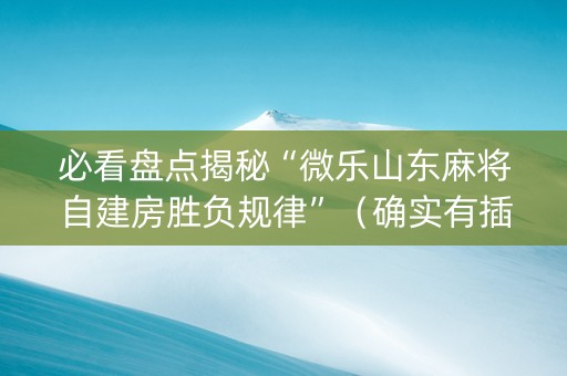 必看盘点揭秘“微乐山东麻将自建房胜负规律”（确实有插件吗)