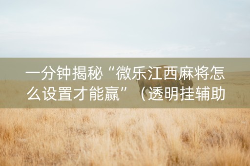 一分钟揭秘“微乐江西麻将怎么设置才能赢”（透明挂辅助器)