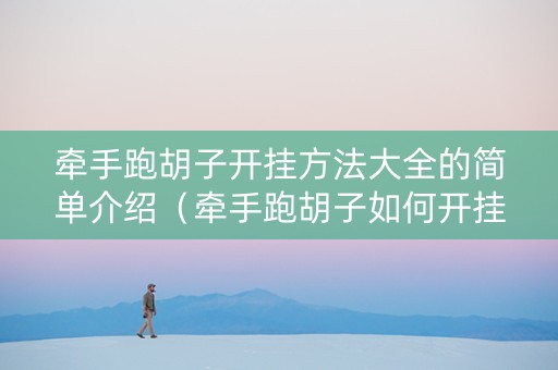 牵手跑胡子开挂方法大全的简单介绍（牵手跑胡子如何开挂）