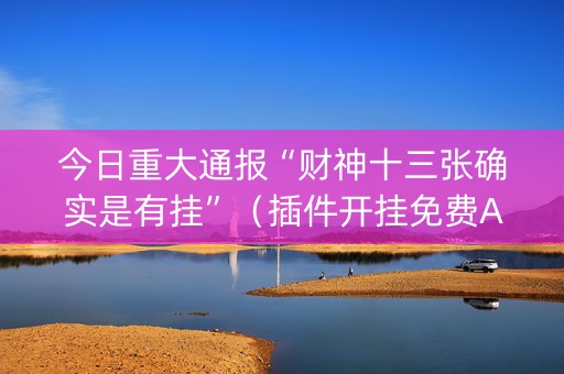 今日重大通报“财神十三张确实是有挂”（插件开挂免费AI)