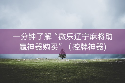 一分钟了解“微乐辽宁麻将助赢神器购买”（控牌神器)