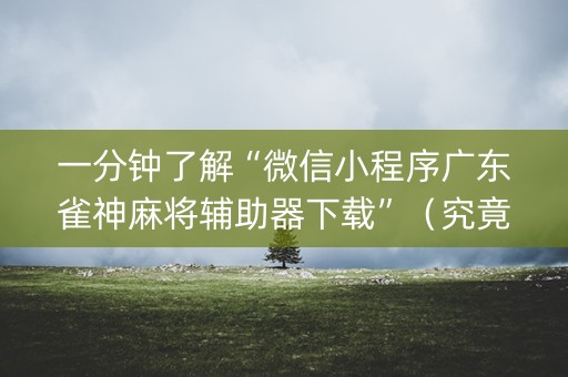 一分钟了解“微信小程序广东雀神麻将辅助器下载”（究竟是不是有挂)
