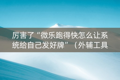 厉害了“微乐跑得快怎么让系统给自己发好牌”（外辅工具)
