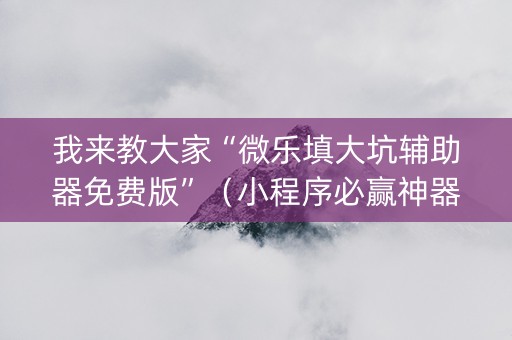 我来教大家“微乐填大坑辅助器免费版”（小程序必赢神器)